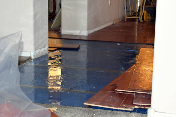Professional Basement Water Removal technician working in Oakdale, CA